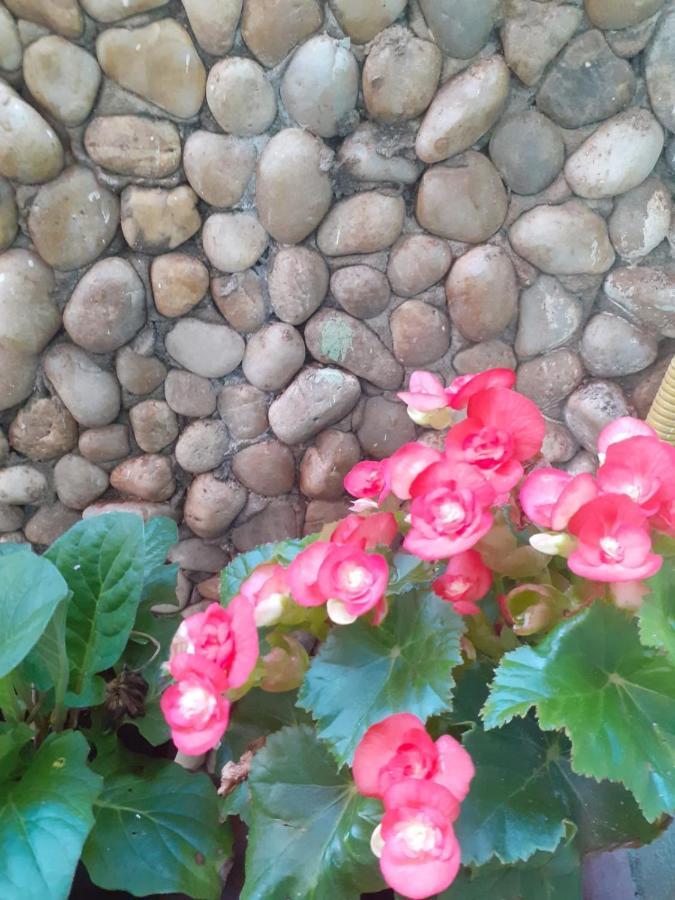 Pousada Recanto Das Flores Moitas Exterior photo